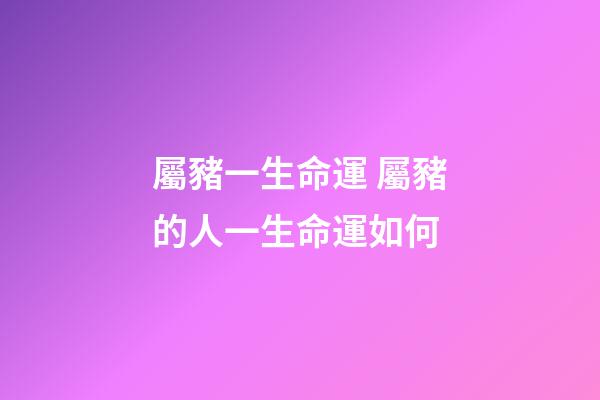 屬豬一生命運 屬豬的人一生命運如何-第1張-觀點-玄機派